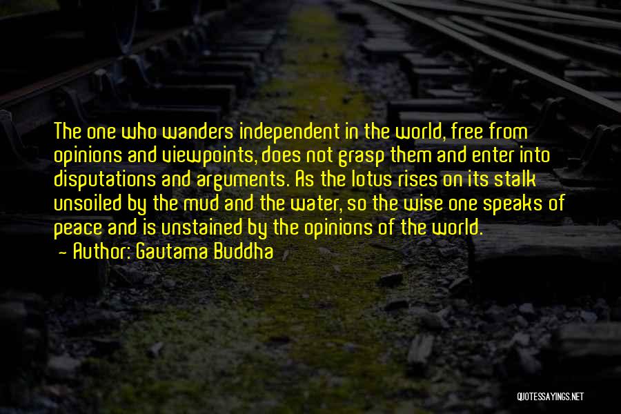 Water And Peace Quotes By Gautama Buddha