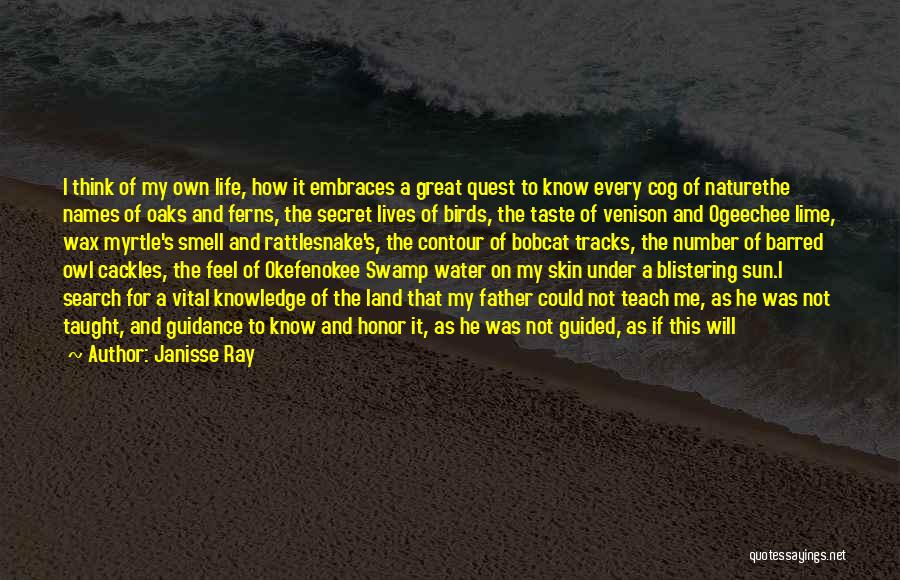 Water And Peace Quotes By Janisse Ray