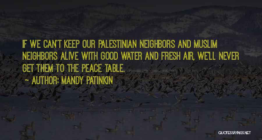 Water And Peace Quotes By Mandy Patinkin