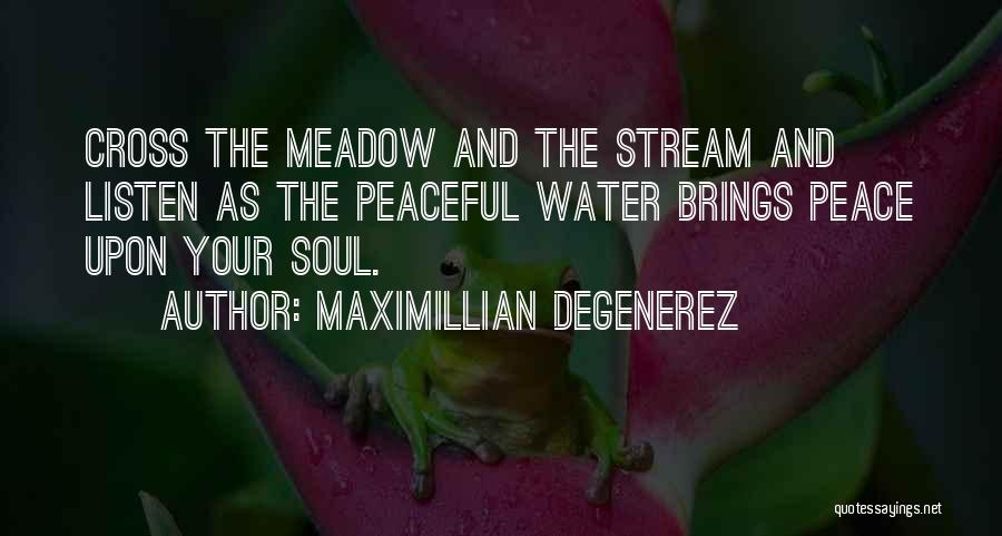 Water And Peace Quotes By Maximillian Degenerez