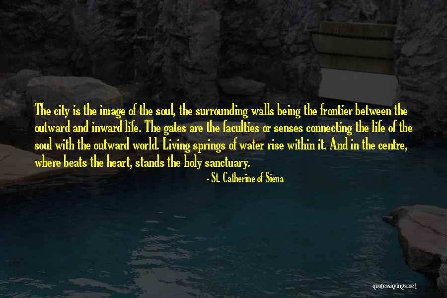 Water And The Soul Quotes By St. Catherine Of Siena Water And The Soul Quotes By St. Catherine Of Siena