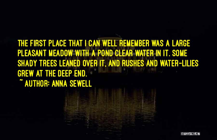 Water And Tree Quotes By Anna Sewell