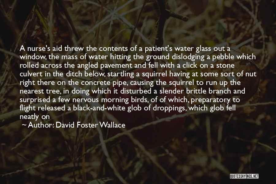 Water And Tree Quotes By David Foster Wallace