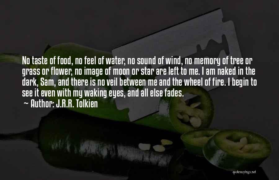 Water And Tree Quotes By J.R.R. Tolkien