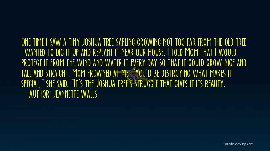 Water And Tree Quotes By Jeannette Walls