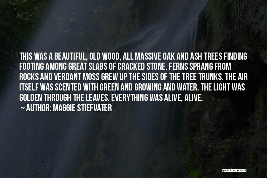 Water And Tree Quotes By Maggie Stiefvater