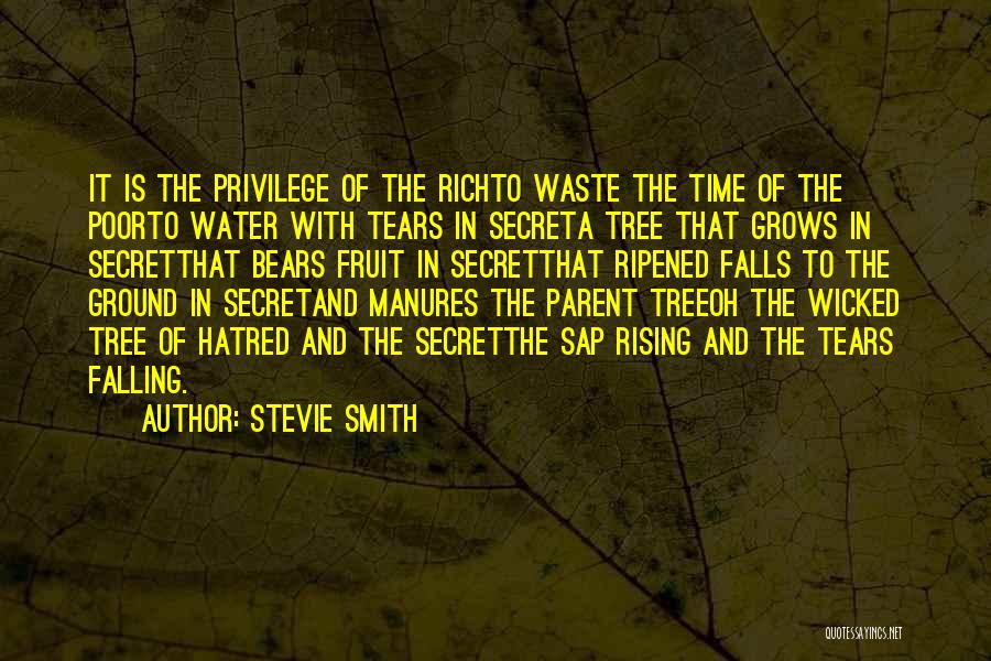 Water And Tree Quotes By Stevie Smith