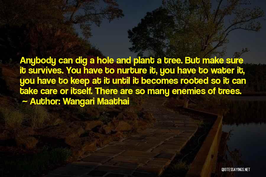 Water And Tree Quotes By Wangari Maathai