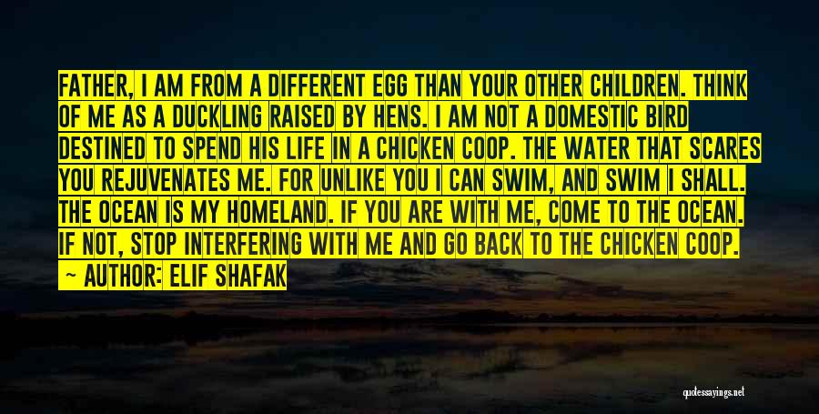 Water Bird Quotes By Elif Shafak