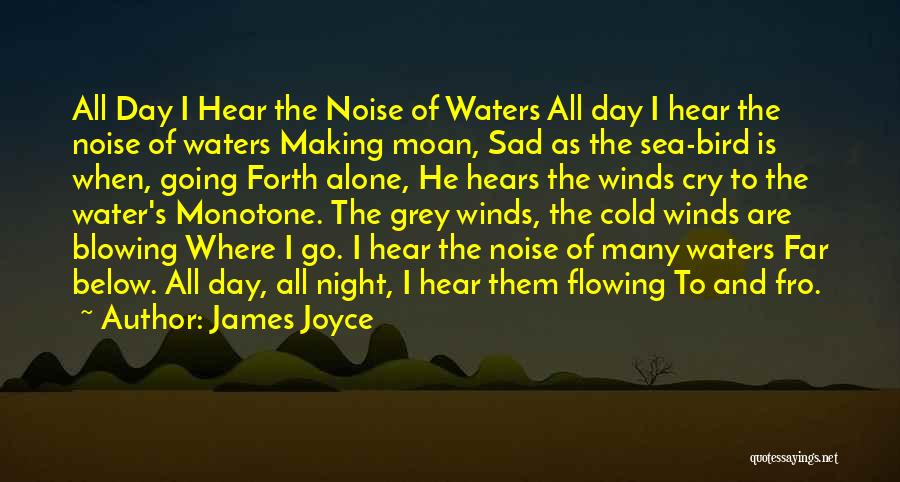 Water Bird Quotes By James Joyce