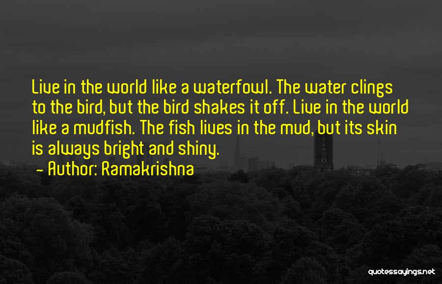 Water Bird Quotes By Ramakrishna