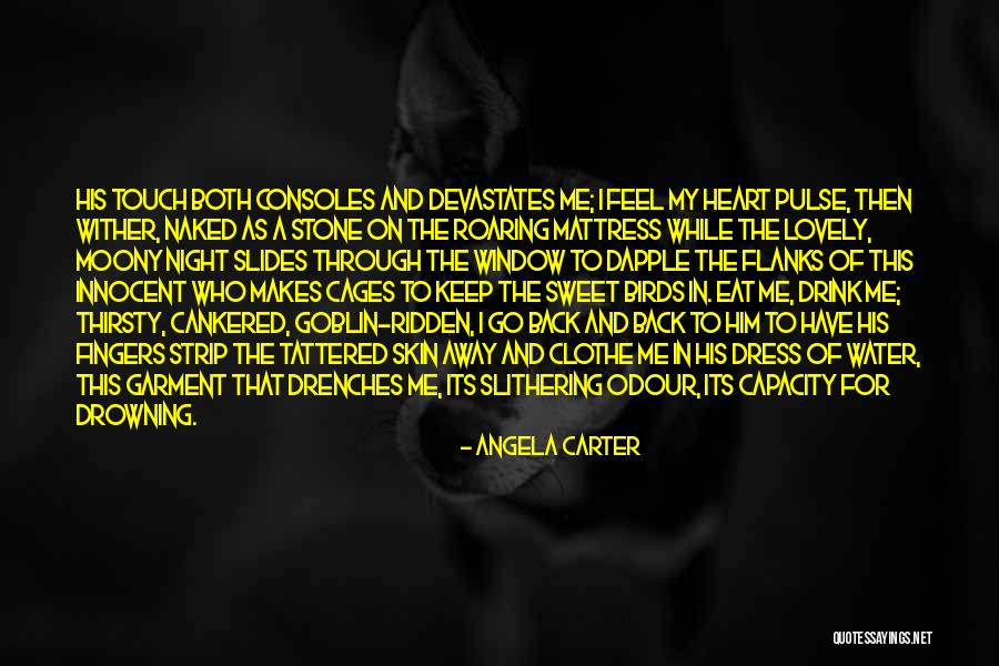 Water Birds Quotes By Angela Carter Water Birds Quotes By Angela Carter
