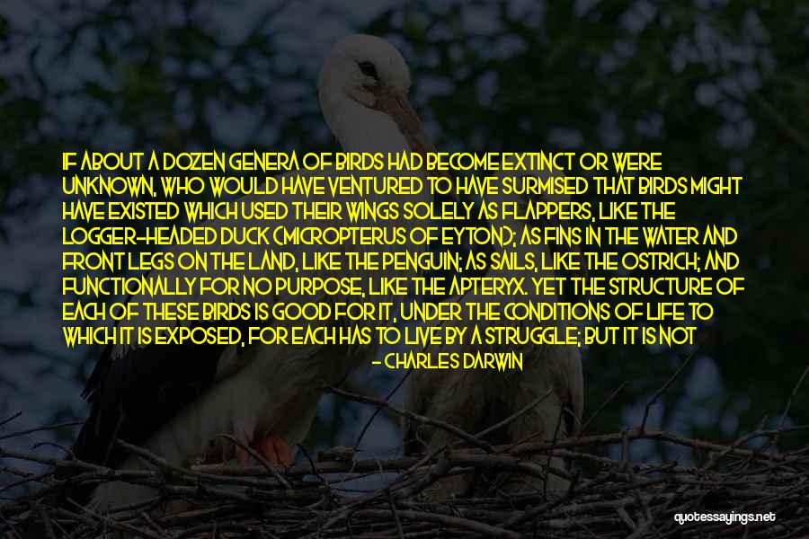 Water Birds Quotes By Charles Darwin Water Birds Quotes By Charles Darwin