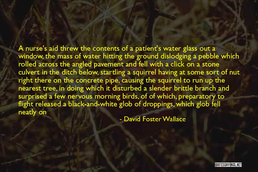 Water Birds Quotes By David Foster Wallace Water Birds Quotes By David Foster Wallace