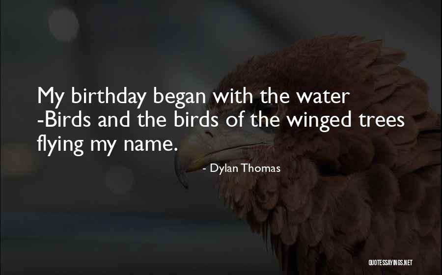 Water Birds Quotes By Dylan Thomas Water Birds Quotes By Dylan Thomas