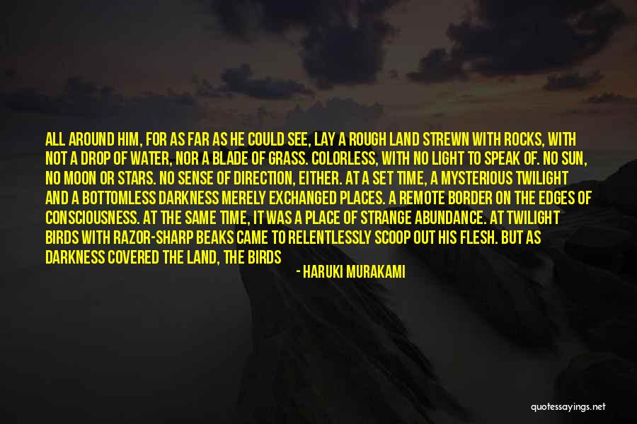 Water Birds Quotes By Haruki Murakami Water Birds Quotes By Haruki Murakami
