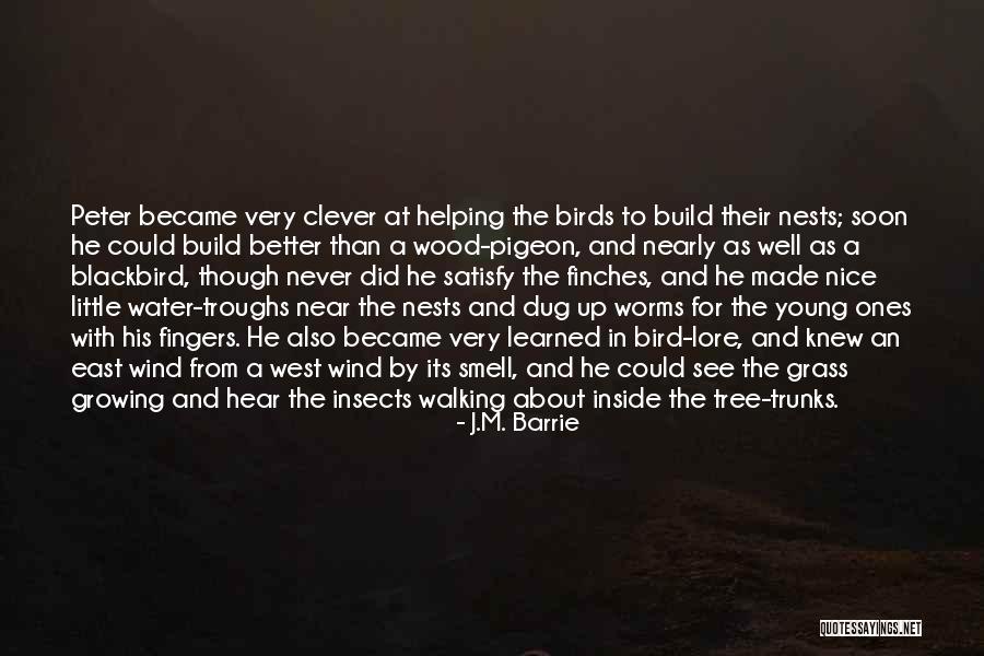 Water Birds Quotes By J.M. Barrie Water Birds Quotes By J.M. Barrie