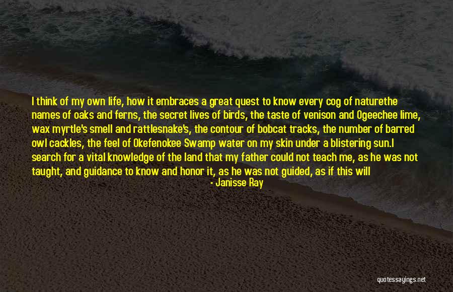 Water Birds Quotes By Janisse Ray Water Birds Quotes By Janisse Ray