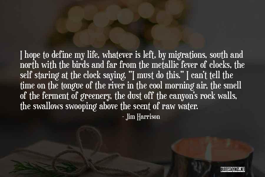 Water Birds Quotes By Jim Harrison Water Birds Quotes By Jim Harrison