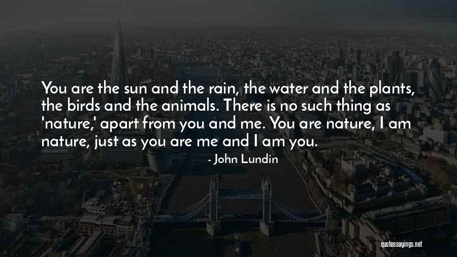 Water Birds Quotes By John Lundin Water Birds Quotes By John Lundin