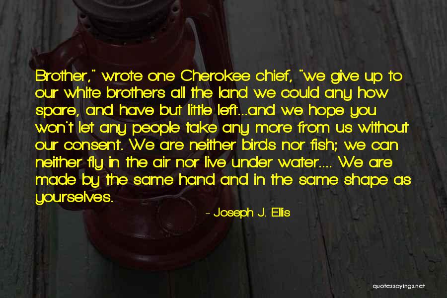 Water Birds Quotes By Joseph J. Ellis Water Birds Quotes By Joseph J. Ellis