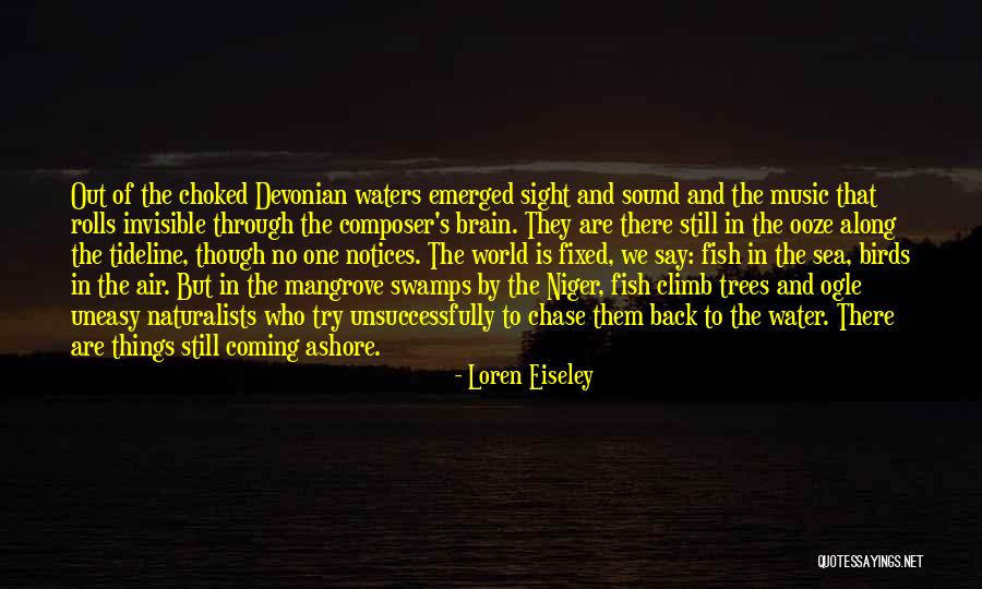 Water Birds Quotes By Loren Eiseley Water Birds Quotes By Loren Eiseley