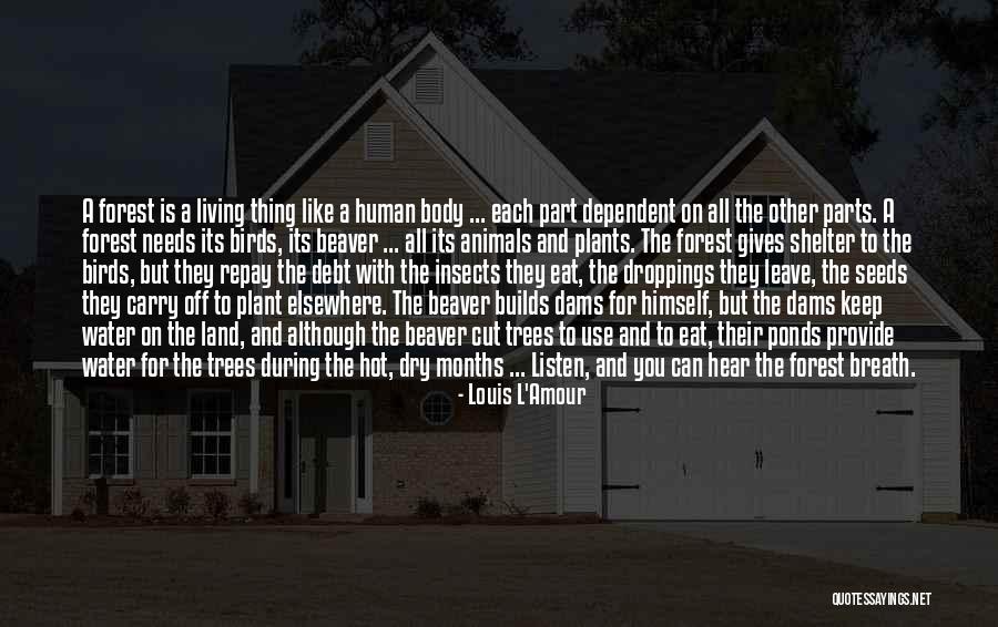 Water Birds Quotes By Louis L'Amour Water Birds Quotes By Louis L'Amour