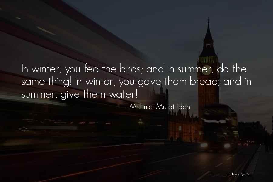 Water Birds Quotes By Mehmet Murat Ildan Water Birds Quotes By Mehmet Murat Ildan