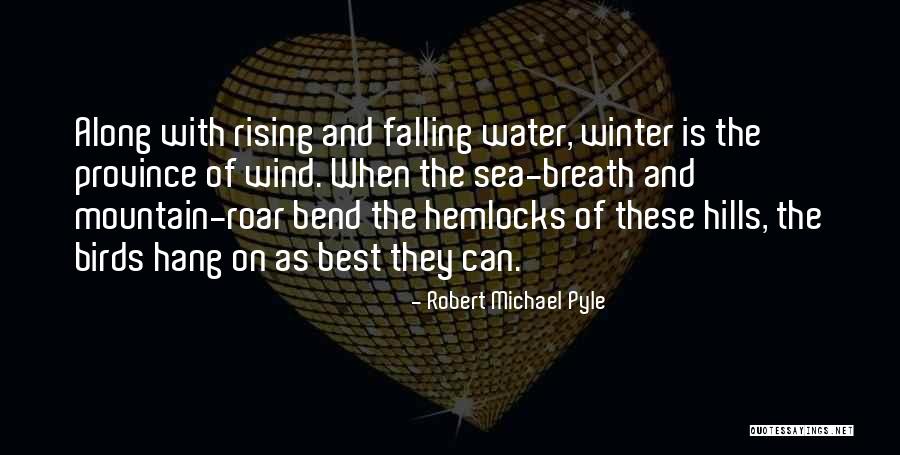 Water Birds Quotes By Robert Michael Pyle Water Birds Quotes By Robert Michael Pyle
