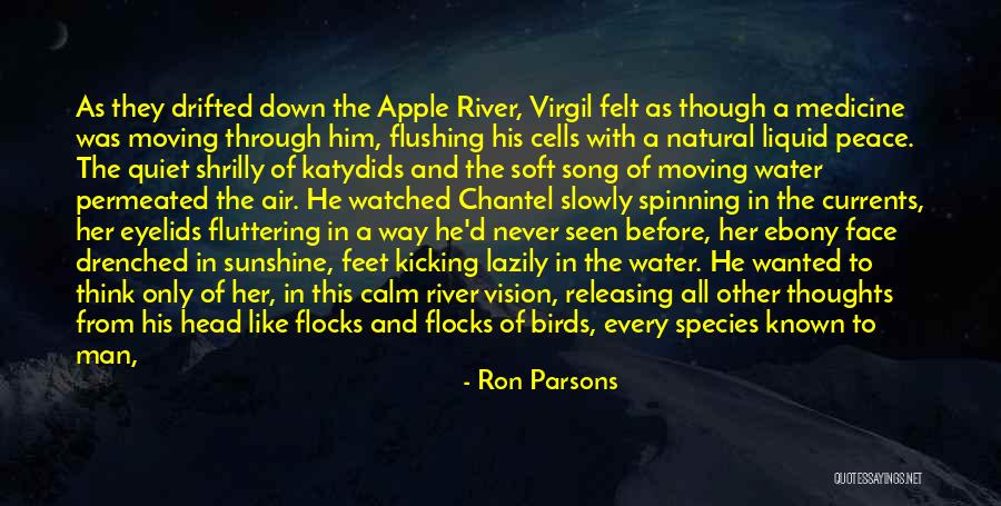 Water Birds Quotes By Ron Parsons Water Birds Quotes By Ron Parsons