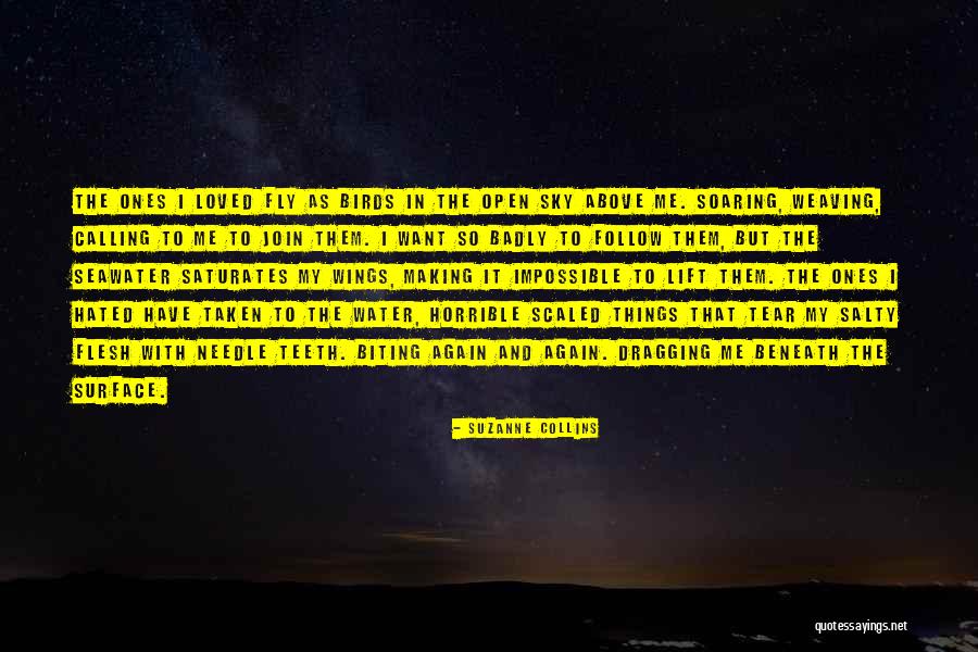 Water Birds Quotes By Suzanne Collins Water Birds Quotes By Suzanne Collins