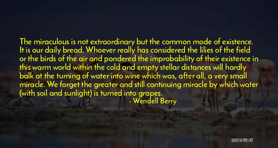 Water Birds Quotes By Wendell Berry Water Birds Quotes By Wendell Berry
