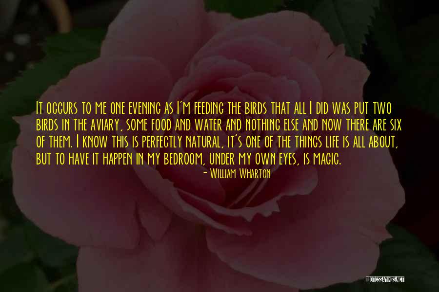 Water Birds Quotes By William Wharton Water Birds Quotes By William Wharton