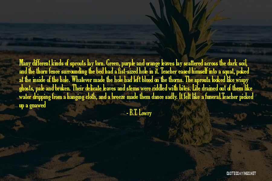 Water Bodies Quotes By B.T. Lowry Water Bodies Quotes By B.T. Lowry