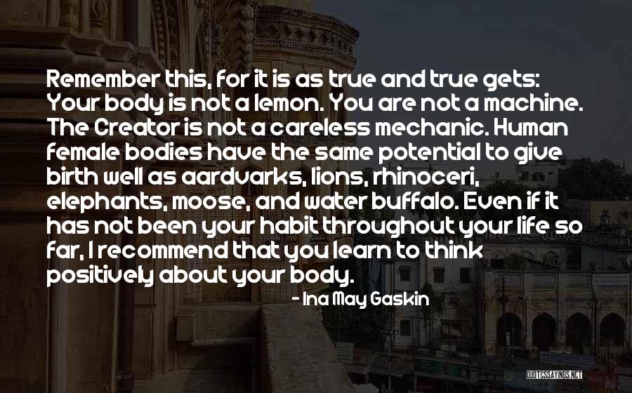 Water Buffalo Quotes By Ina May Gaskin Water Buffalo Quotes By Ina May Gaskin