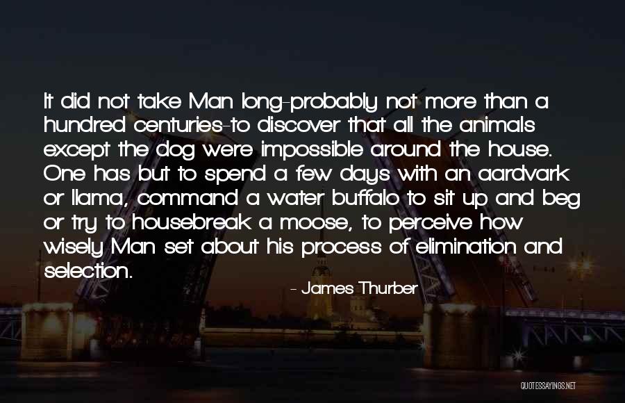 Water Buffalo Quotes By James Thurber