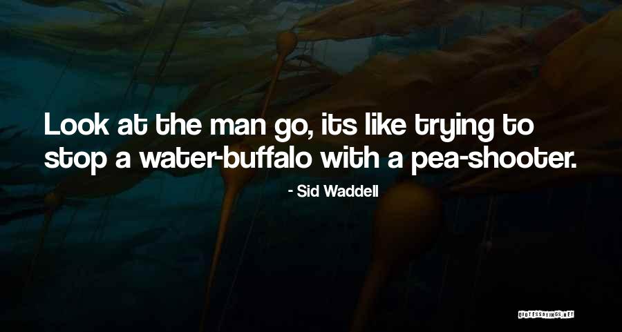 Water Buffalo Quotes By Sid Waddell