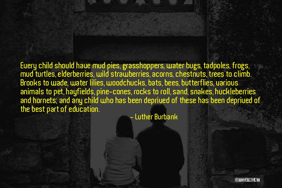 Water Bugs Quotes By Luther Burbank Water Bugs Quotes By Luther Burbank