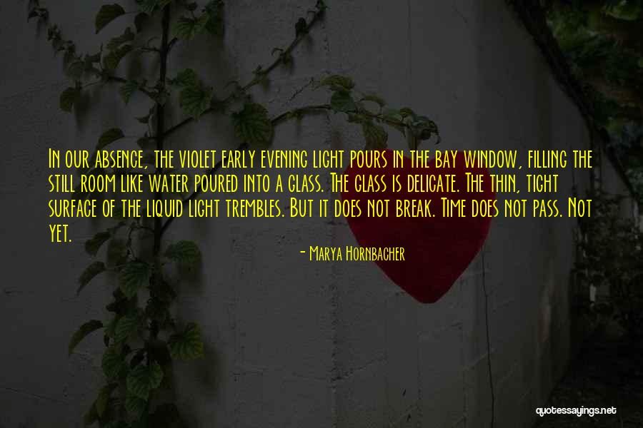 Water But Quotes By Marya Hornbacher Water But Quotes By Marya Hornbacher