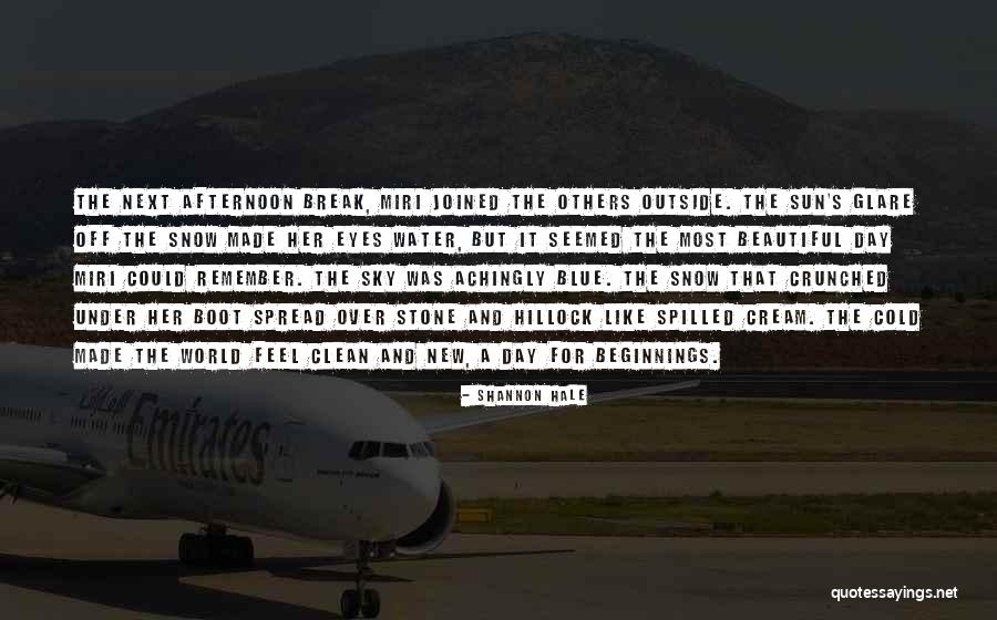 Water Can Break Stone Quotes By Shannon Hale Water Can Break Stone Quotes By Shannon Hale