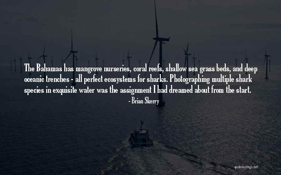 Water Deep Quotes By Brian Skerry Water Deep Quotes By Brian Skerry