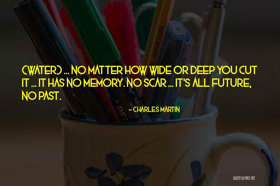 Water Deep Quotes By Charles Martin Water Deep Quotes By Charles Martin
