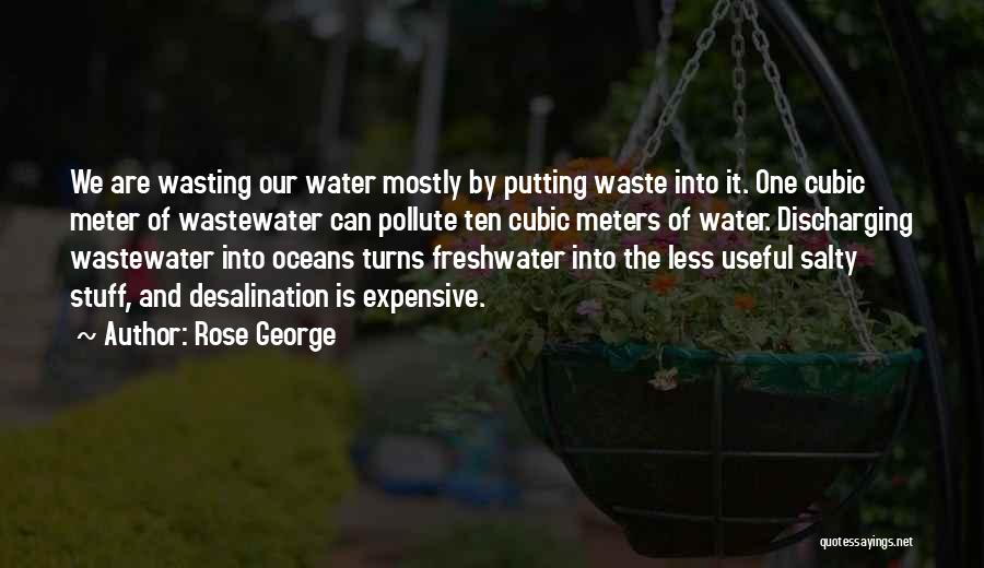 Water Desalination Quotes By Rose George