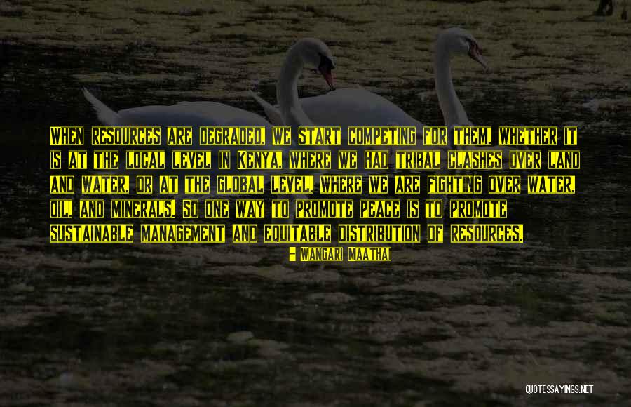 Water Distribution Quotes By Wangari Maathai Water Distribution Quotes By Wangari Maathai
