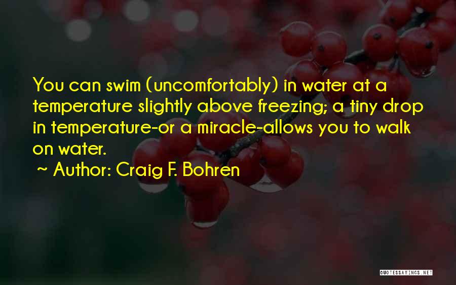 Water Drop Quotes By Craig F. Bohren