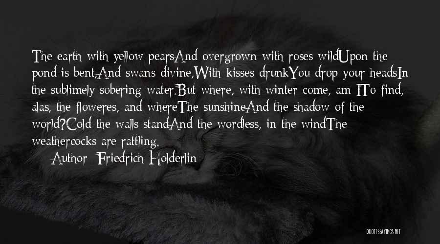 Water Drop Quotes By Friedrich Holderlin