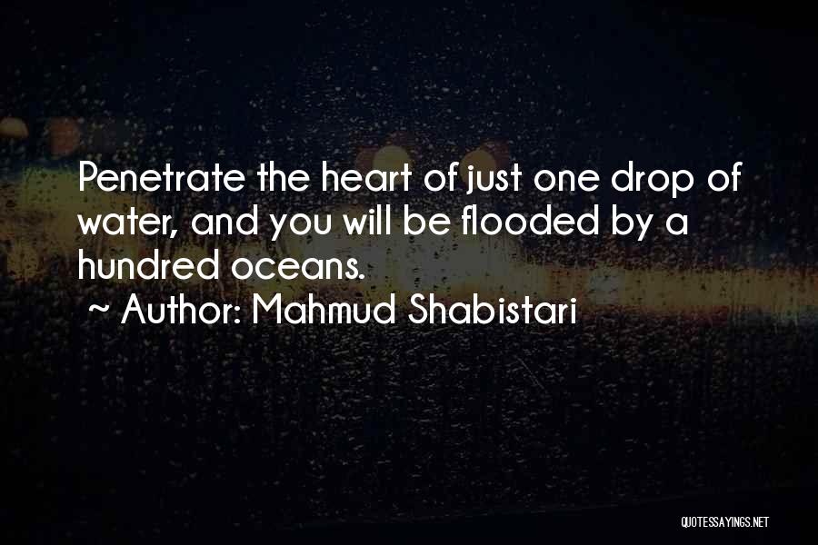 Water Drop Quotes By Mahmud Shabistari