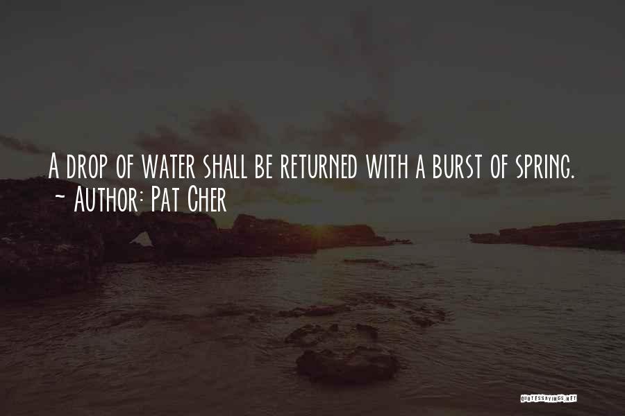 Water Drop Quotes By Pat Cher