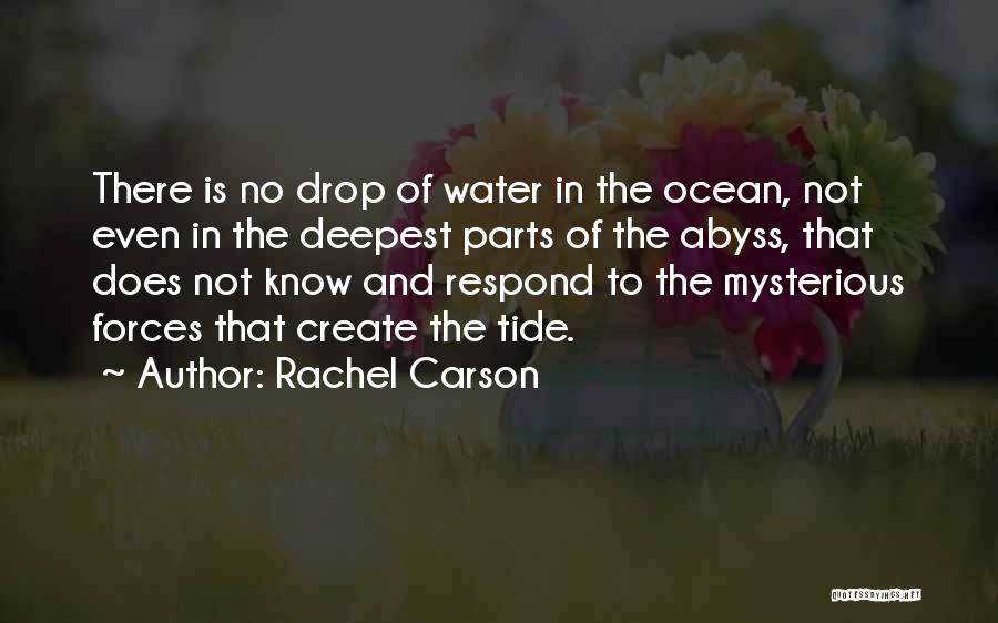 Water Drop Quotes By Rachel Carson