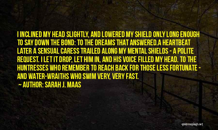 Water Drop Quotes By Sarah J. Maas